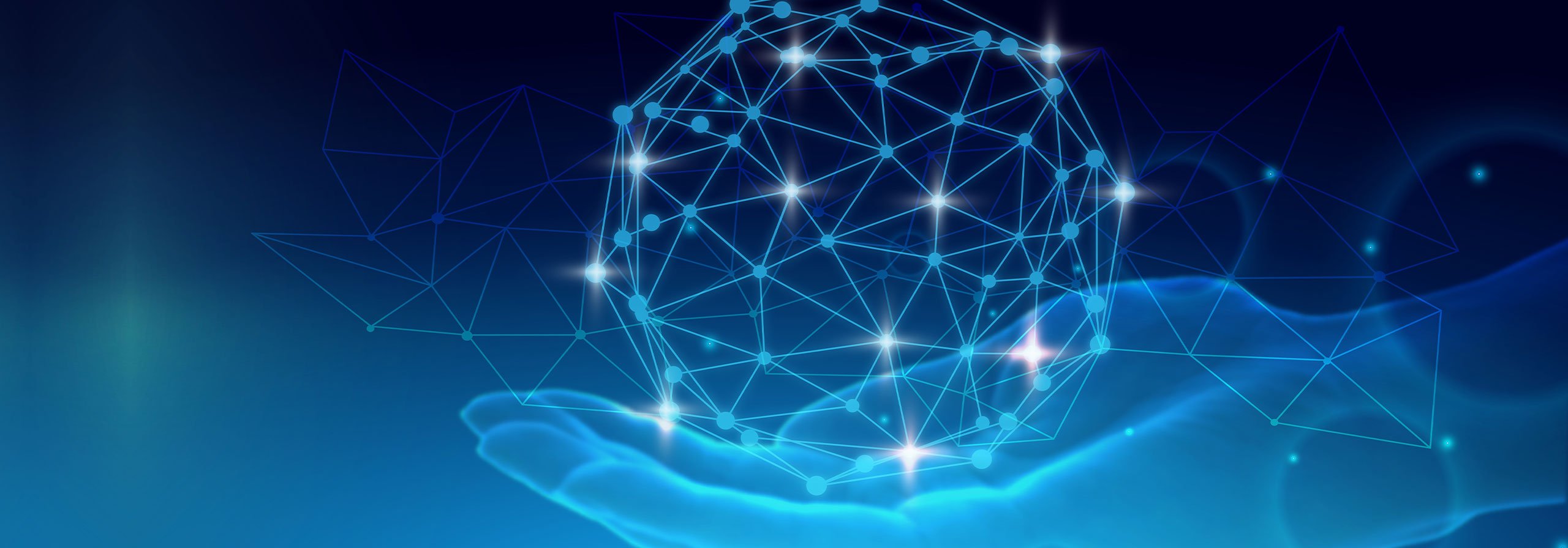 Experience The Commitment